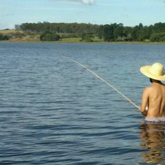 Zang Vs.Emotions - Samantha S. & Bee Gees