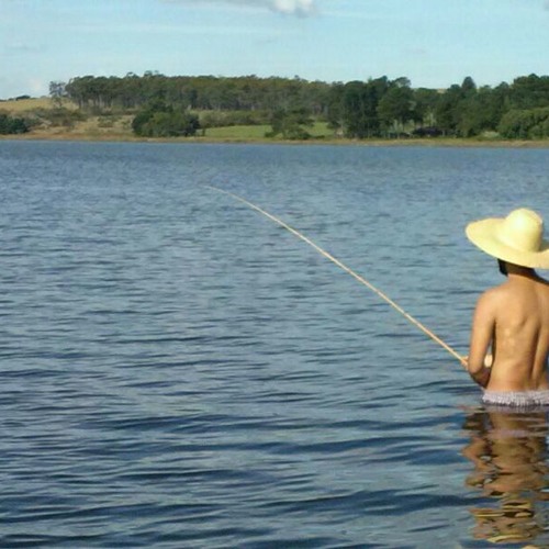 Zang Vs.Emotions - Samantha S. & Bee Gees