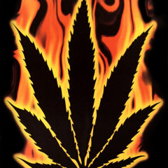 #2 Get High - TwF - BadboY 2013 (Mastered Version)