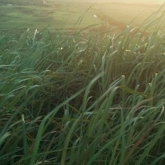 입술이달빛(Live)