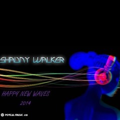 Brave New Waves - Happy New Waves 2014 - www.shaunywalker.com