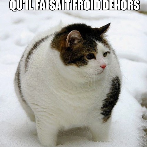 Janvier 2014