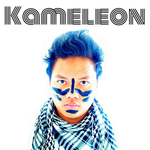 Kameleon (aka Yann Sollerot) - Fun (Demo Audio)