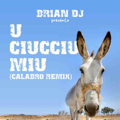 Brian dj - U Ciucciu Miu (calabro Remix)