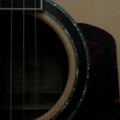 'I think i love you' guitar cover