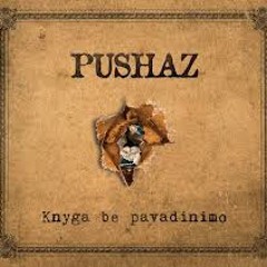 Pushaz - Vieno vakaro mintys