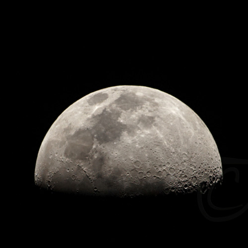 Dark Moon - Mark Radford - Free Download