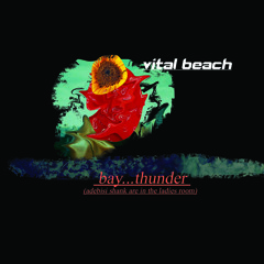 bay...thunder! (adebisi shank are in the ladies room)