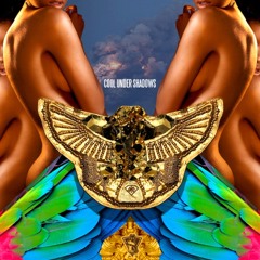 Crazy Beat Ft.meatdish