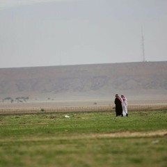 يامدور للمراجل