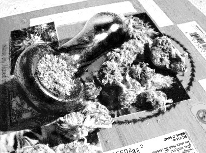 sayknowledge - Monica (prod. moneyhighchef x Mars Today) [Thizzler.com]