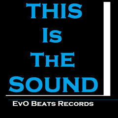 This Is The Sound (vocal Mix Punch 2014). ToXiC (Evo Beats Records)
