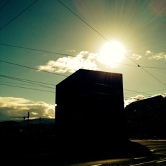 Die Sonne Und Der Iltis