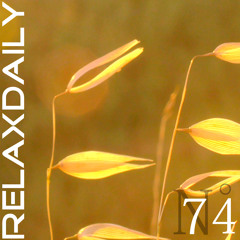 Relaxing Instrumental Music: soft, studying, work, think music – relaxdaily N°074