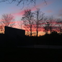 Racetam pt 2 beta  at Dimension X