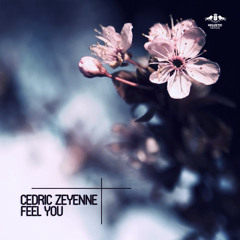 Cedric Zeyenne - Feel You (Radio Edit)
