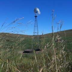 "Is Your Heart Right With God"  --  Grasslands