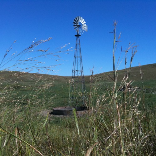 "Is Your Heart Right With God"  --  Grasslands