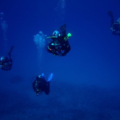 A Journey Through The Blue