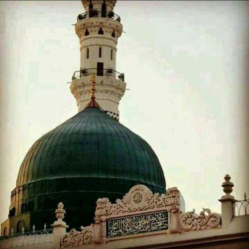 ياقبة ملأ الوجود شذاها.. لسيدي منصور زعيتر