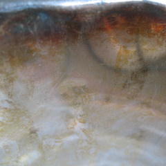 Pluraphonics X (feat. Sebastien Marteau)