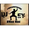 We Are Toonz Drop That Nae Nae (Tags)