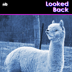 Looked Back (Original Mix)