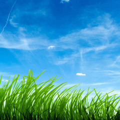 Feel the Freshness