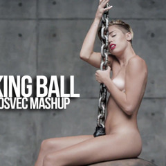 Miley Cyrus Wracking Ball Accoustic Remix