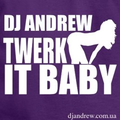 DJ Andrew - Twerk It Baby