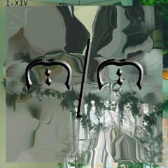 Megaupload Tropical Forest