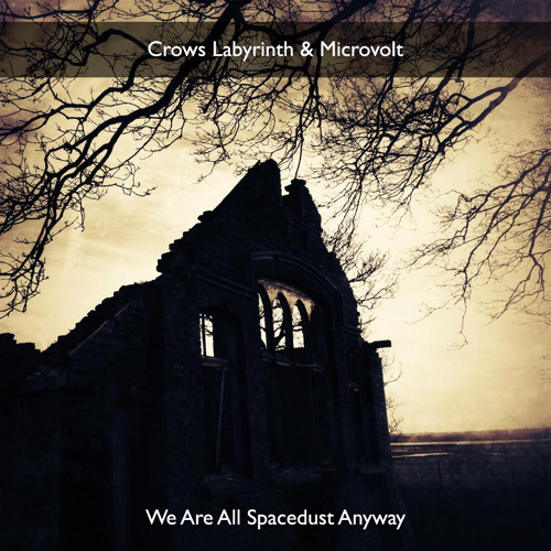 Crows Labyrinth & Microvolt - We Are All Spacedust Anyway
