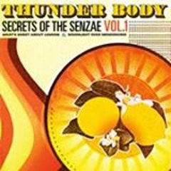 Thunder Body-What's Sweet About Lemons