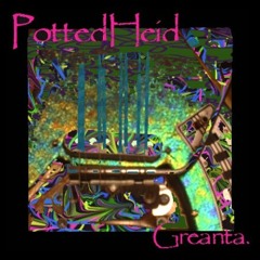 Wings Of A Gull ( remix ) - Pottedheid