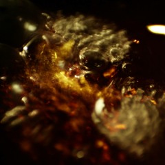 Fillectro - Fillepsy Momentum One