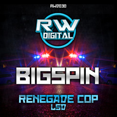 BIGSPIN - LSD!! (FORTHCOMING ON RW DIGITAL) (CLIP)