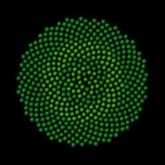 Dub Digital Selection #2