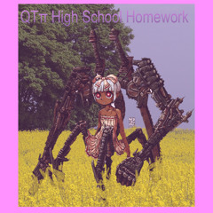 QTπ High School Homework