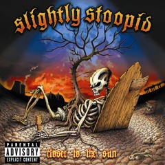 Slightly Stoopid - This Joint