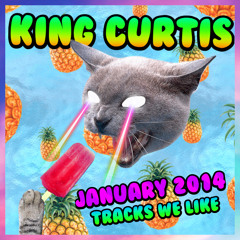 SHITTY TRACKS WE LIKE IN JANUARY 2014
