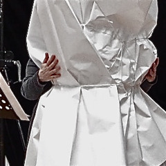 BUT STILL ATTACHED TO LIFE AT ALL FOUR CORNERS_cut2(Palme 12/2013)