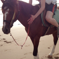 173010melancholie speed