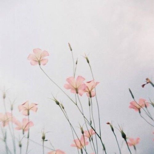 "نايف الشرهان - قراءه مباركه "سورة الفاتحة و جزء من سورة البقره