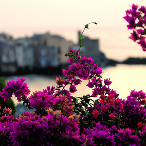 جهلت عيون الناس - عبدالله المهداوي