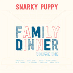 Too Hot To Last (with Snarky Puppy 2013)