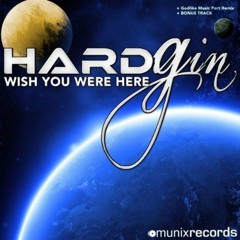 Hard Gin - In Silence (Original Mix)