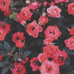 La Vie En Rose (Louis Armstrong Cover)