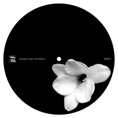 Lucy 'Churches Schools and Guns Remixed' [SA021]