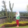 Just give me areason - PINK (coverme) at My rooms