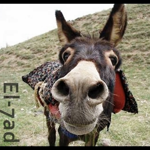 MIX | إلحاد - نفعل مانشاء